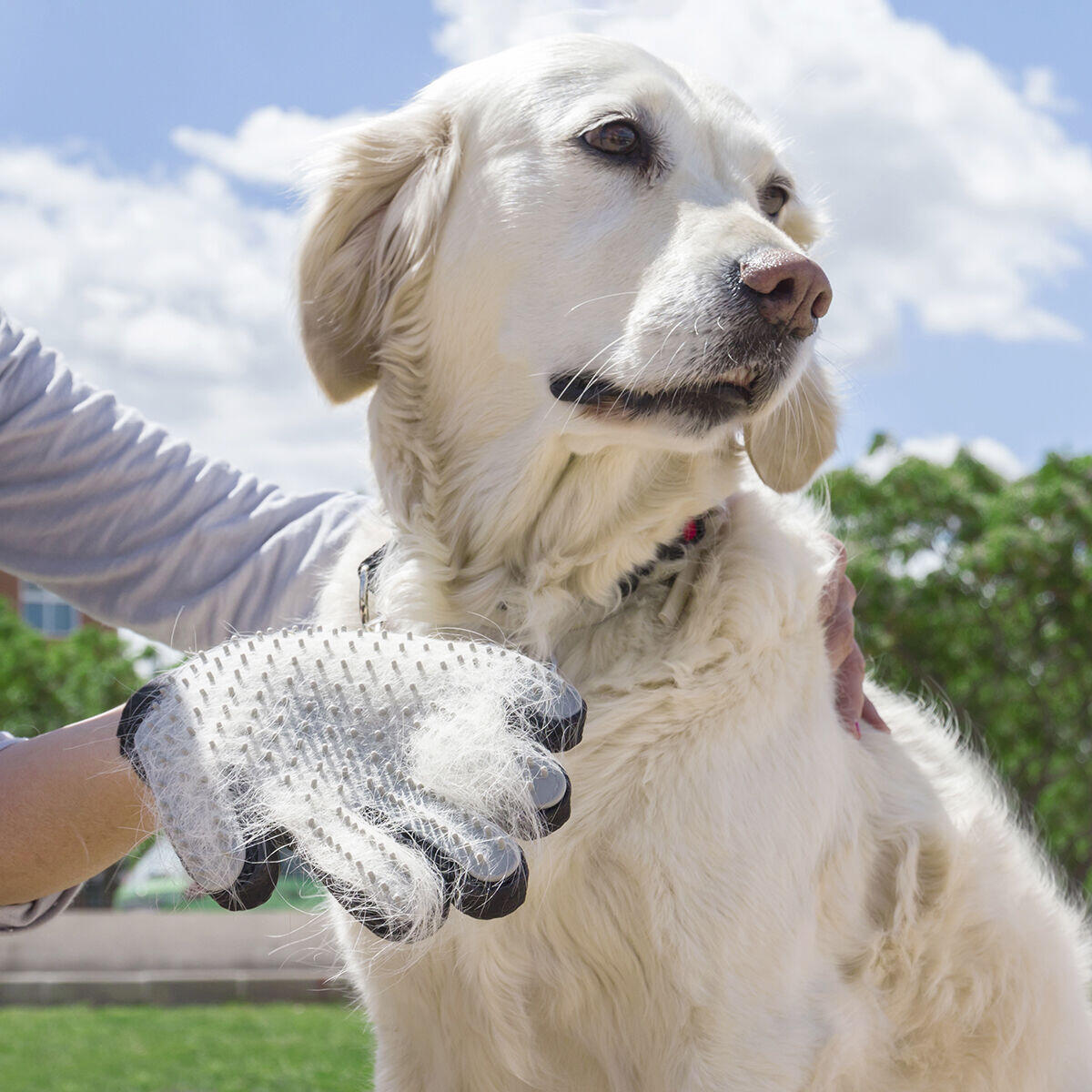 Guante para Cepillar y Masajear Mascotas Relpet InnovaGoods – Higiene, Cuidado y Bienestar en un Solo Accesorio 🐾